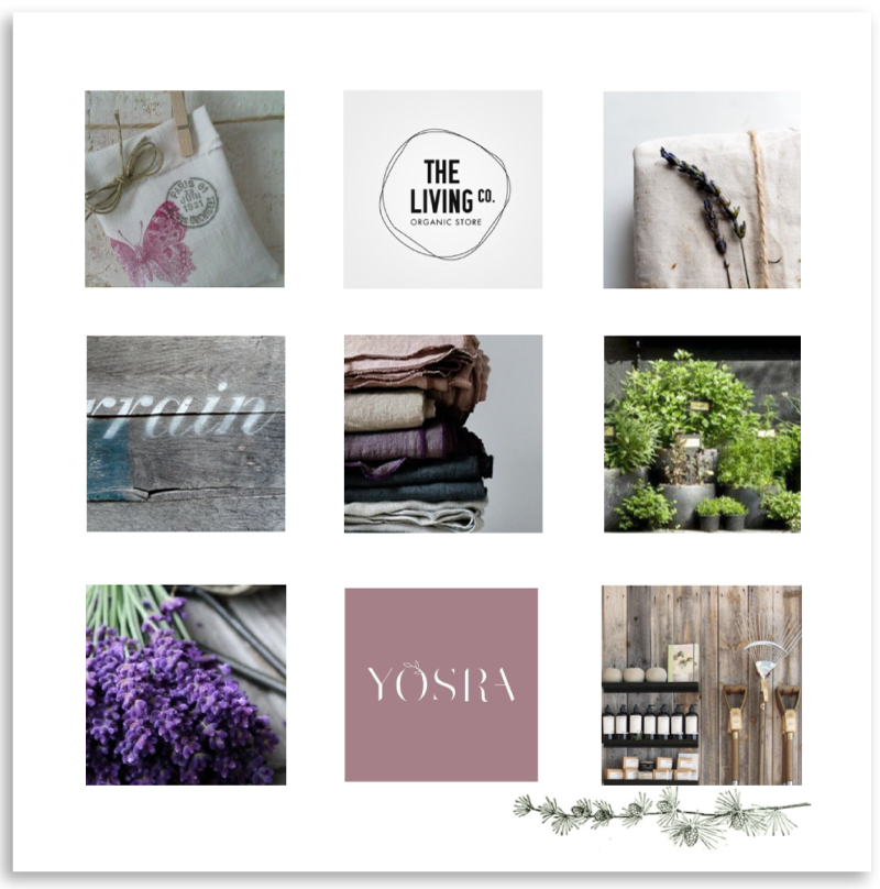 Lavender Mood Board From the Garden Shed