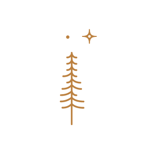 tree icon design logo design squamish outdoor photographer website design
